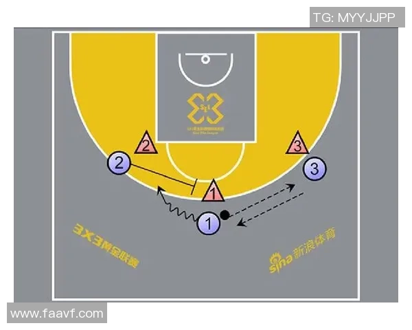 武汉篮球队在锦标赛中的战术表现分析与点评探讨