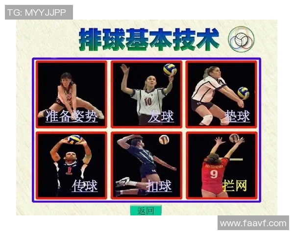 深圳排球队整体压制体系解析与战术运用探讨 深圳排球队整体压制体系解析与战术运用探讨