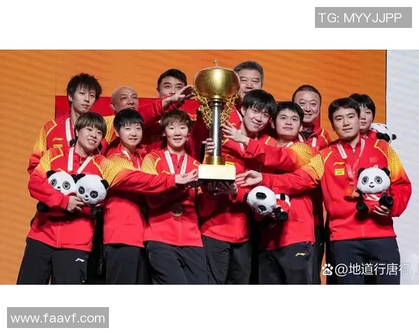 世界杯预选赛点评：成都排球队的个人能力表现