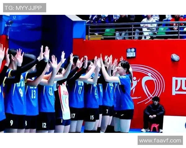 排球深度：解密成都排球队的运营